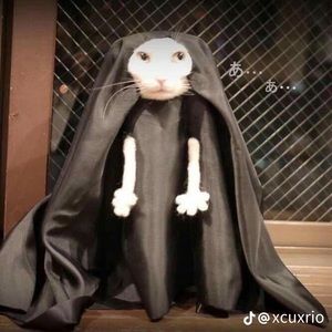 Meet your Posher, Timothy